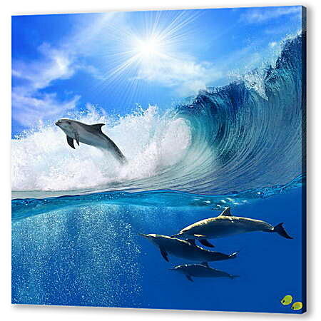 Постер (плакат) - Дельфины на волнах
