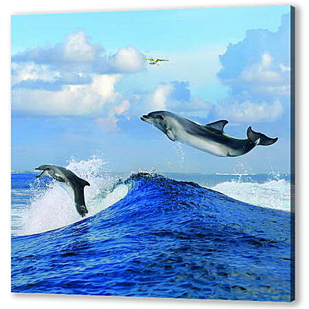 Постер (плакат) - Полет дельфина
