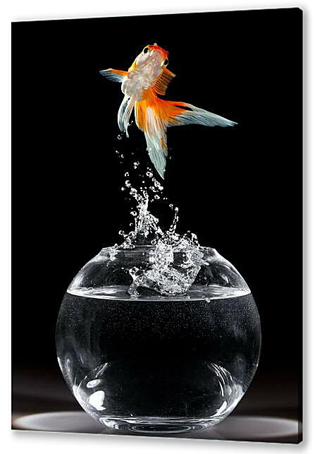 Постер (плакат) - Танец рыбки
