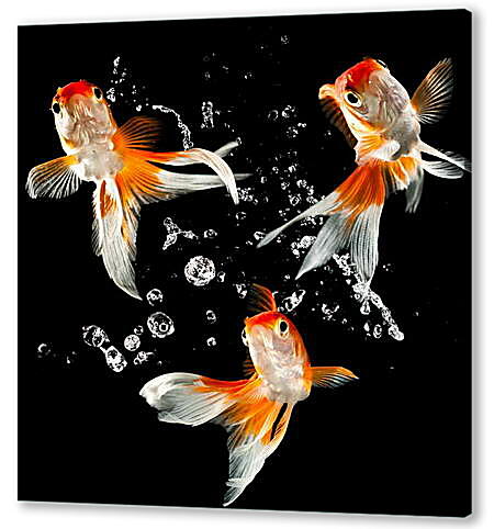 Постер (плакат) - Танец рыбок
