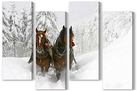Модульная картина - Лошадиная упряжка в снегу
