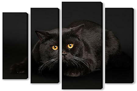 Модульная картина - Кот чернее ночи
