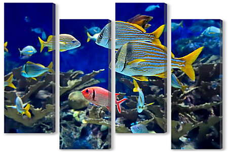 Модульная картина - Аквариумные рыбки
