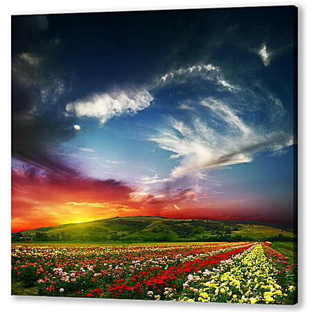 Картина маслом - Буйство красок на цветочном поле
