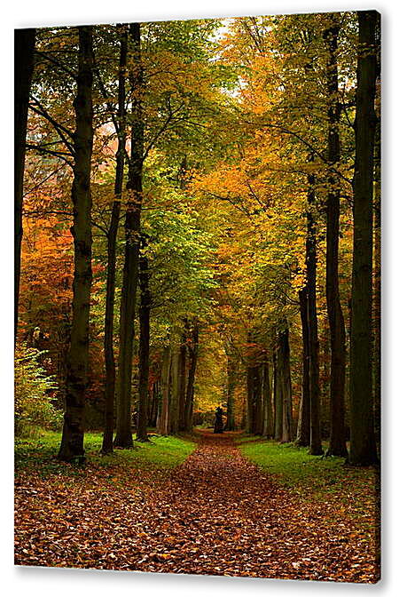 Постер (плакат) - Дорога из листьев
