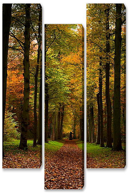 Модульная картина - Дорога из листьев
