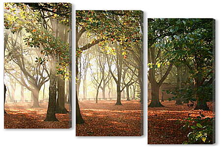 Модульная картина - Осень в парке