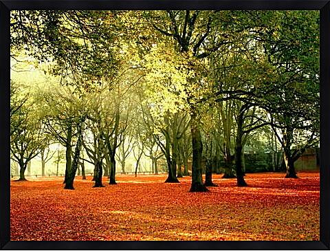 Картина - Осенний парк
