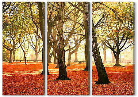 Модульная картина - Деревья в оранжевой листве
