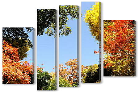 Модульная картина - Осенние верхушки леса
