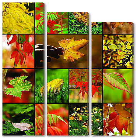 Модульная картина - Коллаж осенняя листва