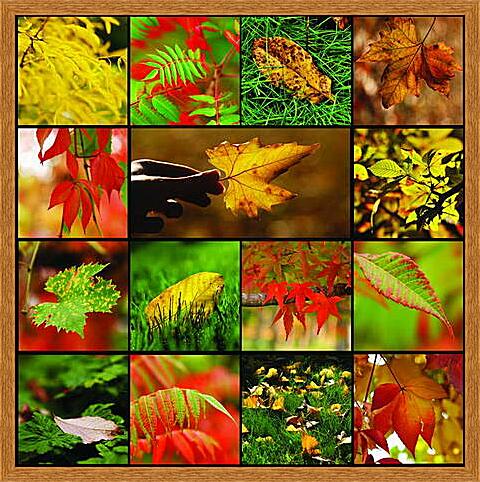Картина - Коллаж осенняя листва