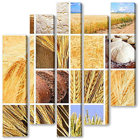Модульная картина - Коллаж пшеница и хлеб