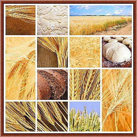 Картина - Коллаж пшеница и хлеб