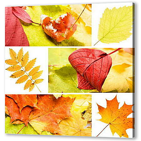 Постер (плакат) - Коллаж осень в листьях