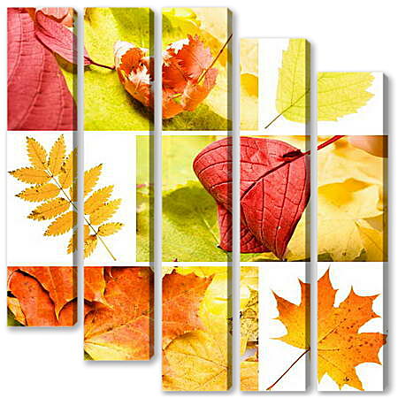 Модульная картина - Коллаж осень в листьях