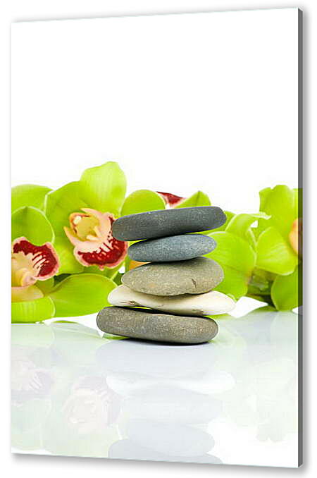 Постер (плакат) - Зеленые цветы и камни
