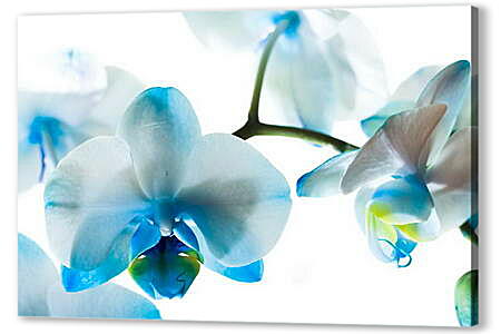 Картина маслом - Голубые цветы
