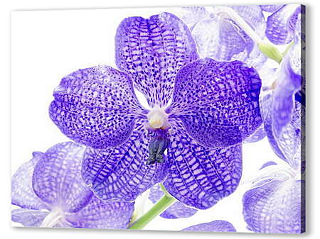 Картина маслом - Фиолетовые цветы
