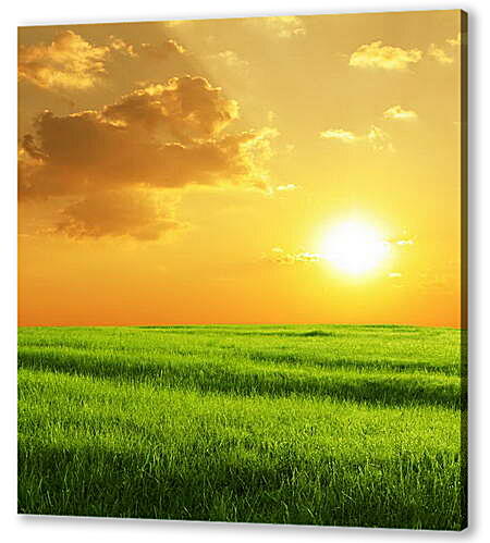 Постер (плакат) - Зеленое поле и желтый закат
