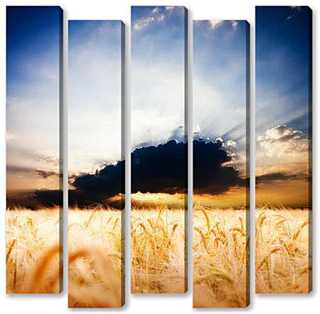 Модульная картина - Пшеничное поле и грозовое облако
