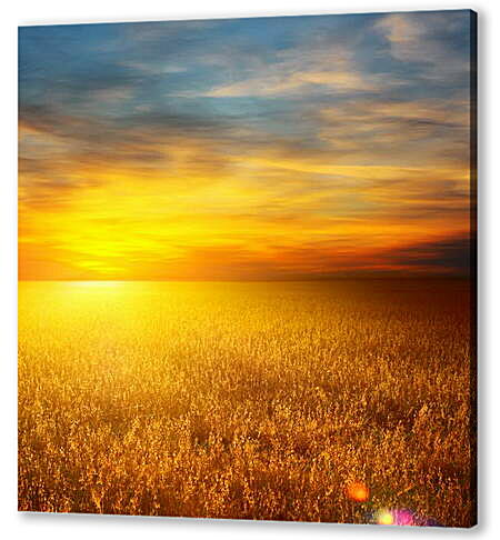 Картина маслом - Закат на пшеничном поле
