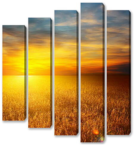 Модульная картина - Закат на пшеничном поле
