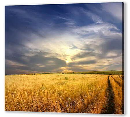 Картина маслом - Пшеница и серое небо
