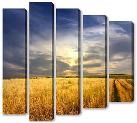 Модульная картина - Пшеница и серое небо
