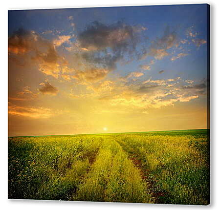 Картина маслом - Зеленое поле и закатное небо
