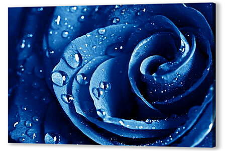 Картина маслом - Синяя роза

