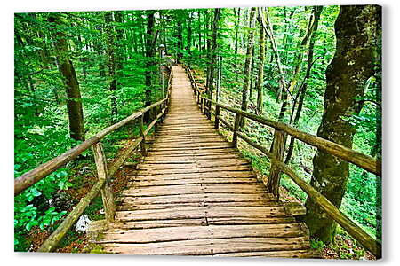 Картина маслом - Деревянный мост в лесу
