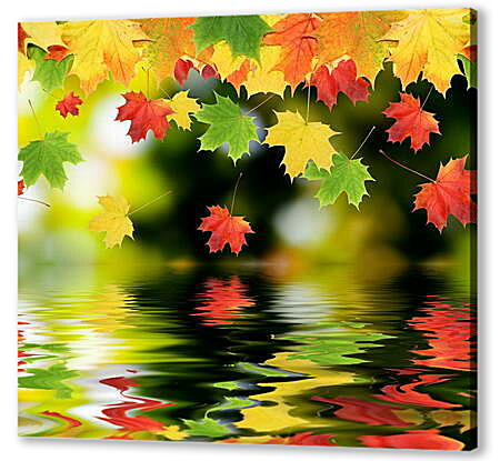 Постер (плакат) - Красочные осенние листья
