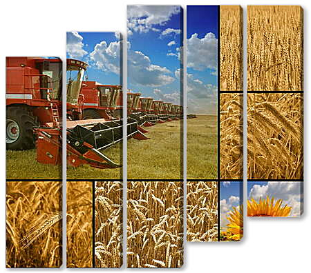 Модульная картина - Коллаж сборка пшеницы
