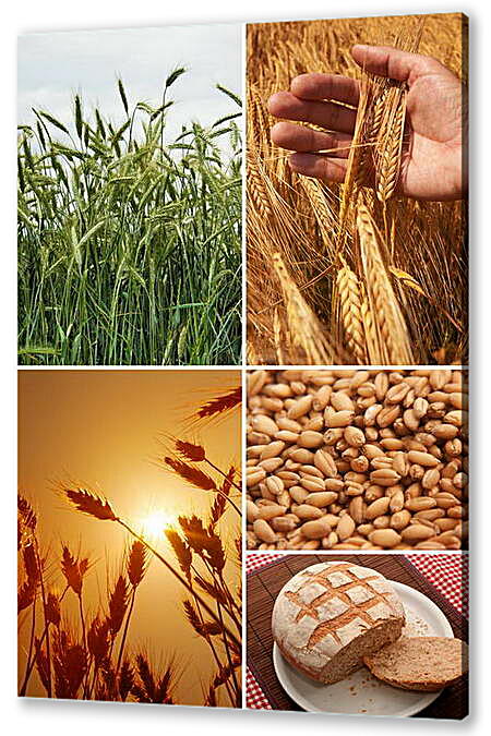 Постер (плакат) - Коллаж Пшеница семена хлеб