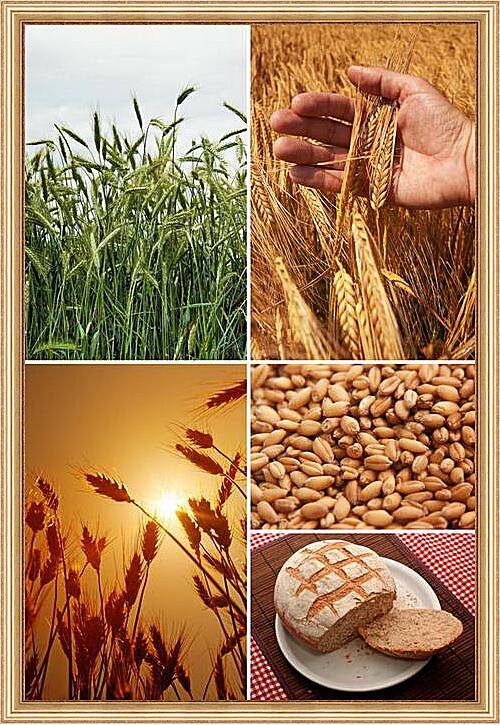 Картина - Коллаж Пшеница семена хлеб