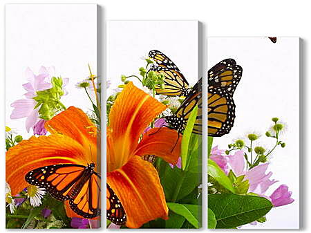 Модульная картина - Бабочки на цветке
