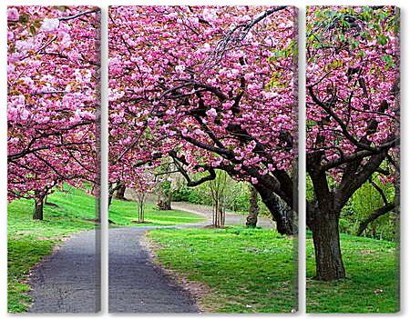 Модульная картина - Розовые деревья в парке
