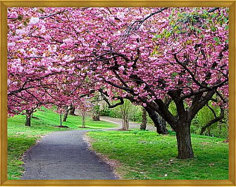 Картина - Розовые деревья в парке
