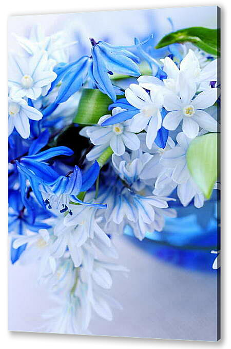 Постер (плакат) - Голубые цветы
