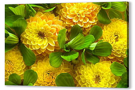 Картина маслом - Желтые цветочки
