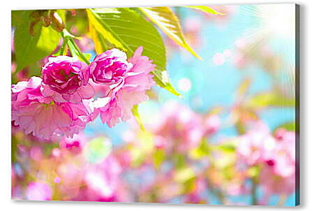 Картина маслом - Розовые цветы и солнце
