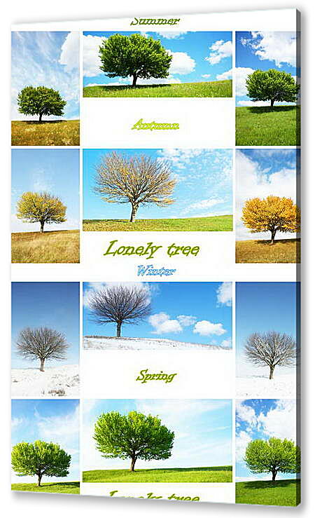 Постер (плакат) - Деревья в разные времена года

