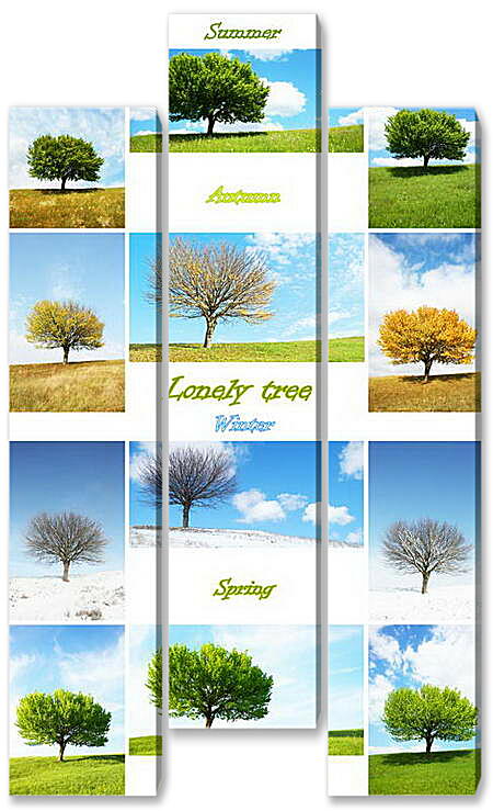 Модульная картина - Деревья в разные времена года
