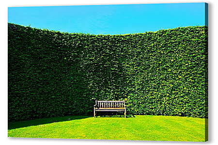 Картина маслом - Зеленая стена в парке
