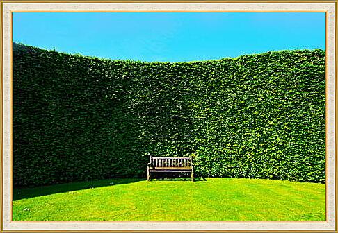 Картина - Зеленая стена в парке
