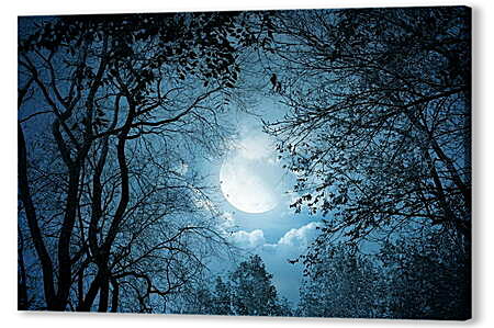 Постер (плакат) - Луна в листьях
