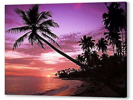 Постер (плакат) - Пальмы в фиолетовом закате