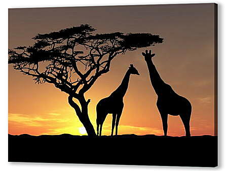 Картина маслом - Жирафы в закате дня