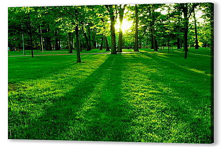 Картина маслом - Трава в парке
